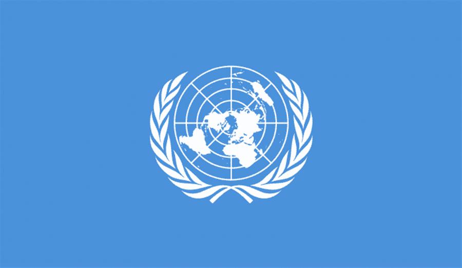 الأمم المتحدة تتوقع نمو الاقتصاد المصري إلى 4.5% في 2026